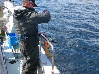 第二清洋丸 釣果