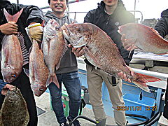 遊漁船 未紗奈 釣果