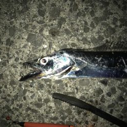 シーズン初のマルチヒット