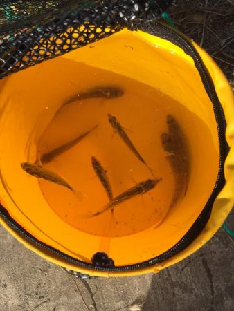 ファミリーフィッシング3