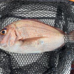 天草付近でのタイラバ