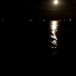 大阪湾メジロ→ハマチ&サゴシ群れが入れ替わりました