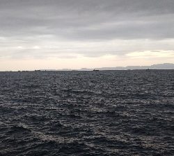 ハマチや〜い！