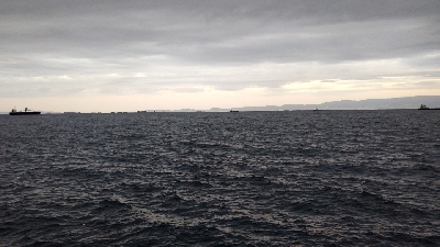 ハマチや〜い！