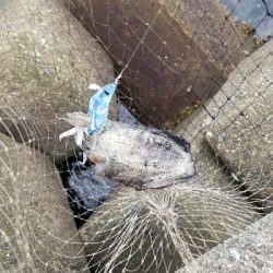 デイエギング サイズは小さめ