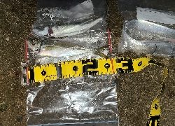 フロートアジングで5種