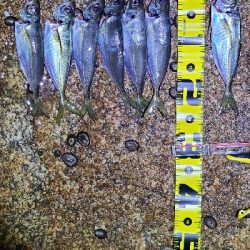 フロートアジング