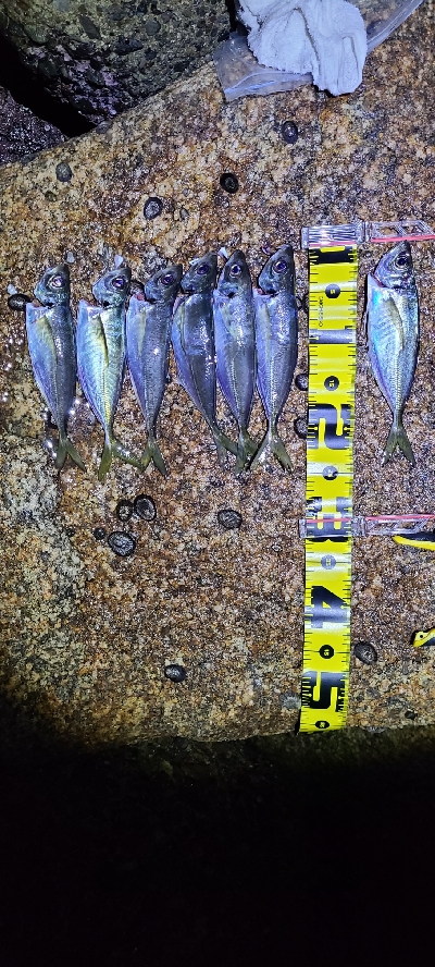 フロートアジング