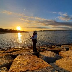 まさかのターゲット