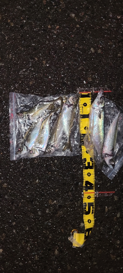 フロートアジング