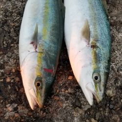 短時間で超満足