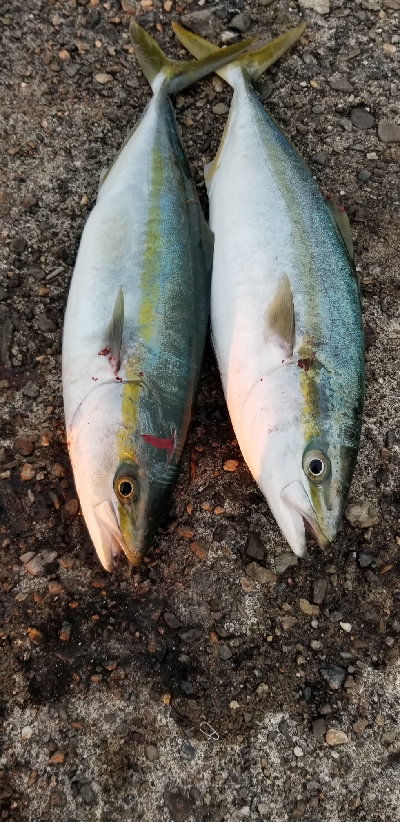 短時間で超満足