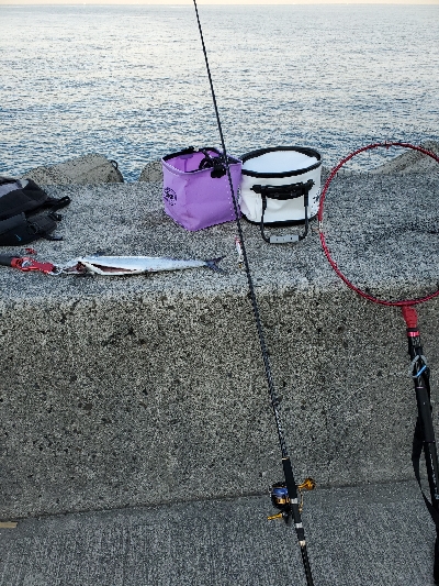 ２ボウズからの復帰