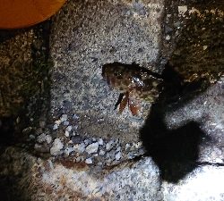 風が強い中の釣り