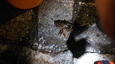 風が強い中の釣り