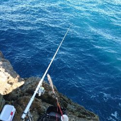 勝浦山成でグレ釣り