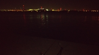 やっとハマチ～！