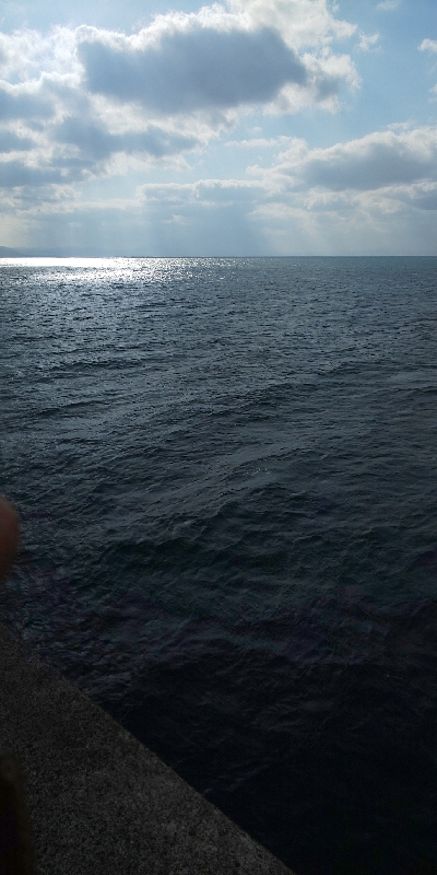 初めてのショア鰤