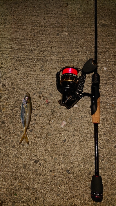 久しぶりにライトゲーム。