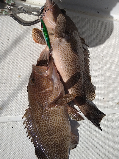 初スーパーライトジギング