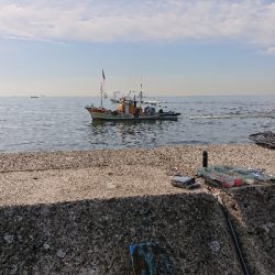 100均も釣れる(笑)