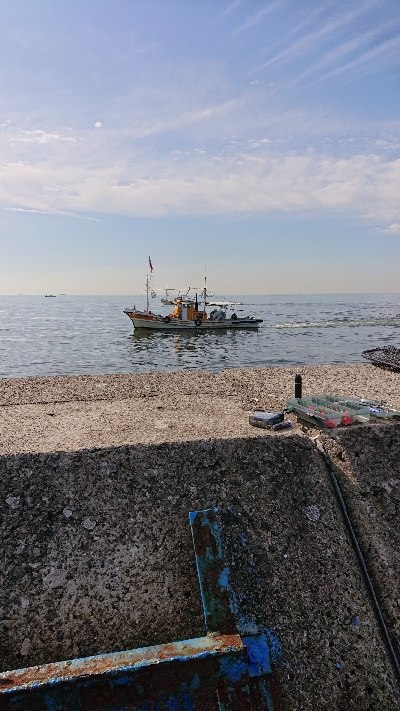 100均も釣れる(笑)