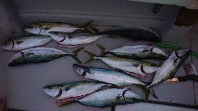 キャスティング！