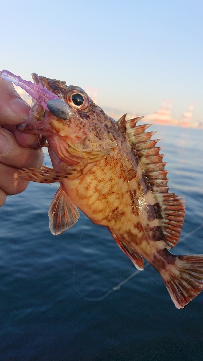 南港ガシリング