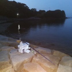 室津のキス釣り