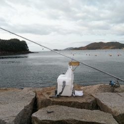 室津のキス釣り