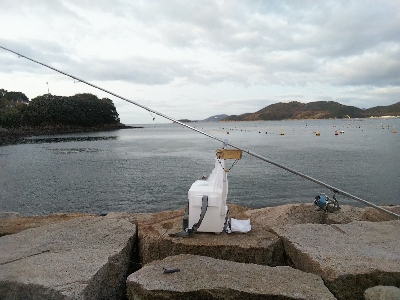 室津のキス釣り