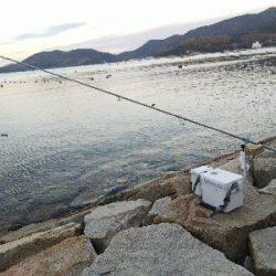 室津のキス釣り