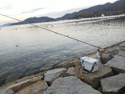 室津のキス釣り