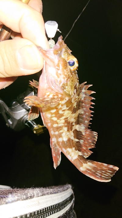 小潮でも高活性♪