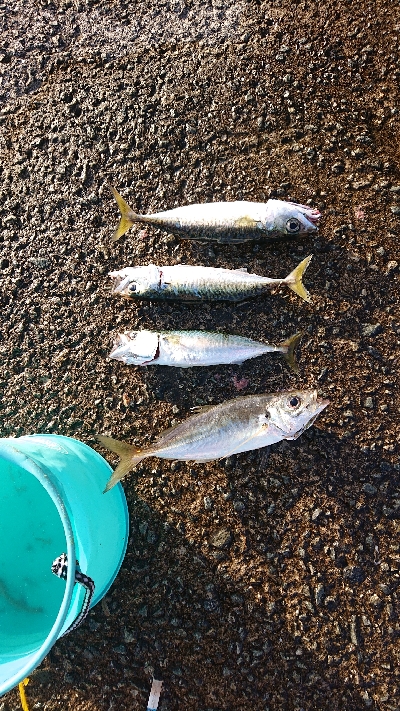 西宮ケーソン 祝日 賑わい