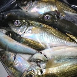 フロートアジング