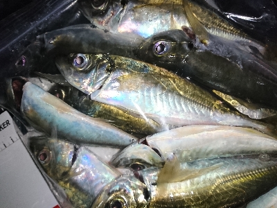 フロートアジング