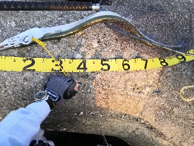 メーター超えのダツ