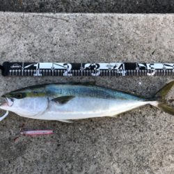 まだまだ人が多いですね