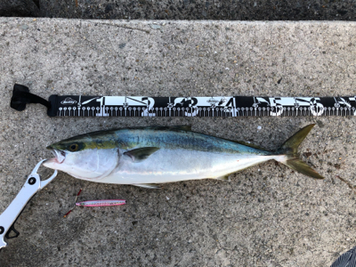 まだまだ人が多いですね