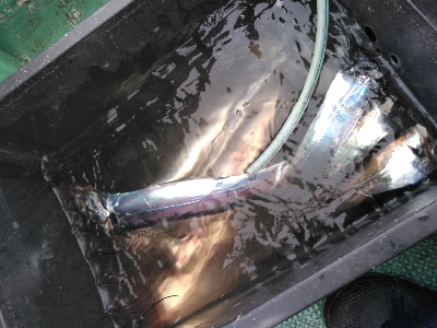 続、船太刀魚テンヤ