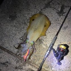 周りの人に感謝の１パイ