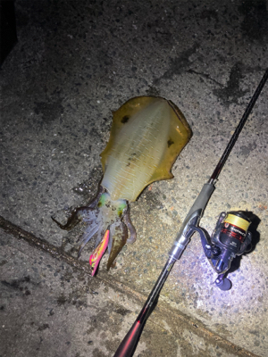 周りの人に感謝の１パイ