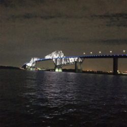 今シーズン初のドラゴンクラス