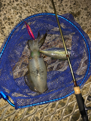 久々の小島養魚場！