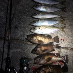 満月ハロウィンアジング