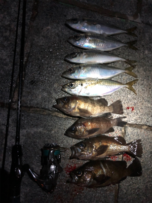 満月ハロウィンアジング