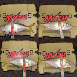 豆の中から良型を獲る