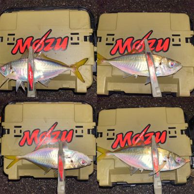 豆の中から良型を獲る