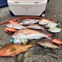 タイラバ２日目